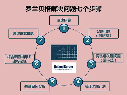 企业经营管理的29种工具 宏观分析 产品分析 5s 罗兰贝格等